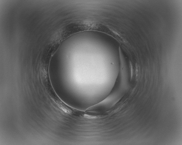 X0000053020613200507081328