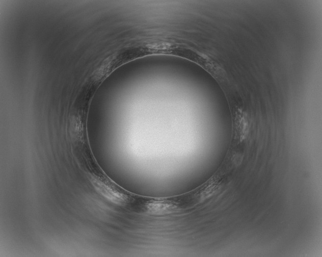 X0000053020614200507081328