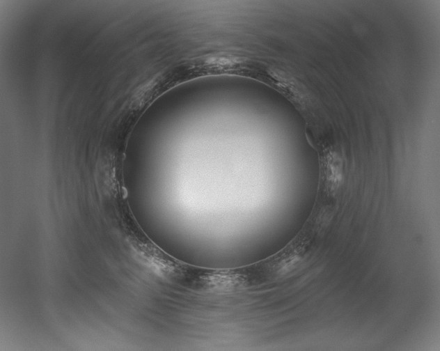 X0000053020615200507081328