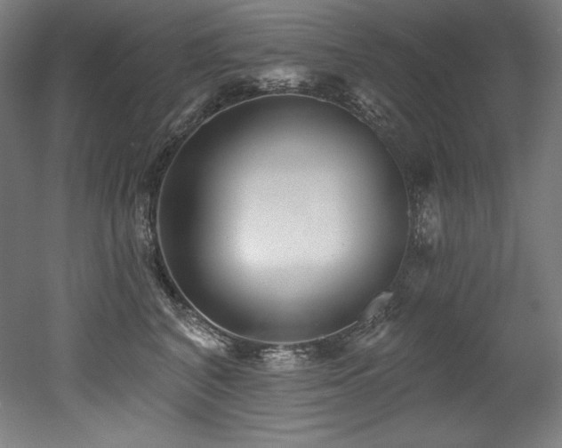X0000053020616200507081328