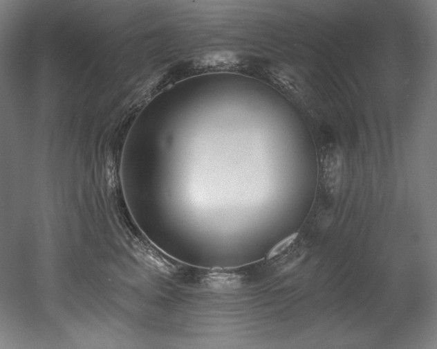 X0000053020617200507081327