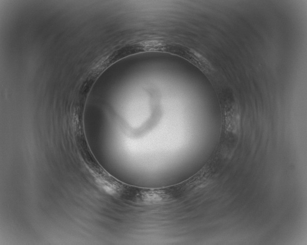 X0000053020618200507081327