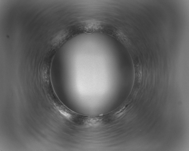 X0000053020619200507081327