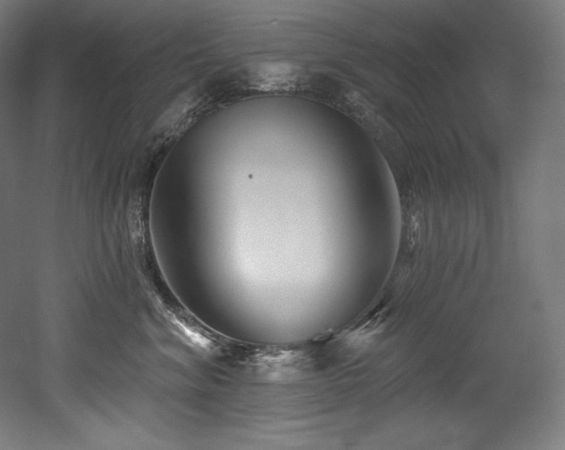 X0000053020620200507081327