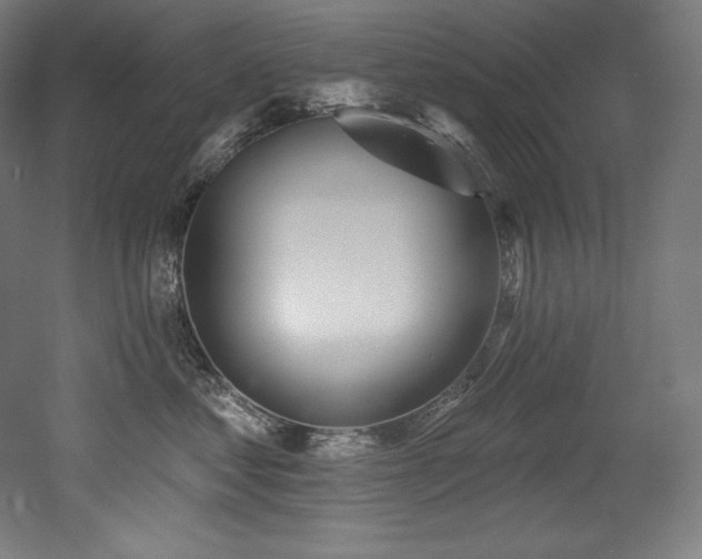 X0000053020621200507081327