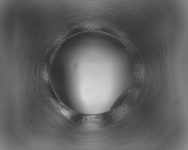 X0000053020622200507081327