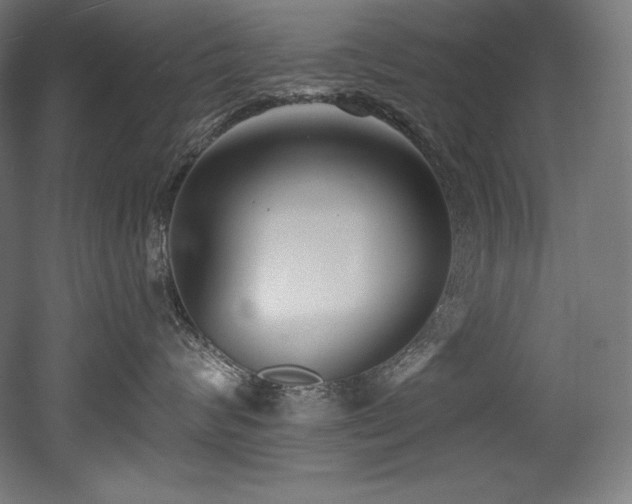 X0000053020624200507081327