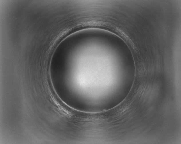 X0000053020625200507081327