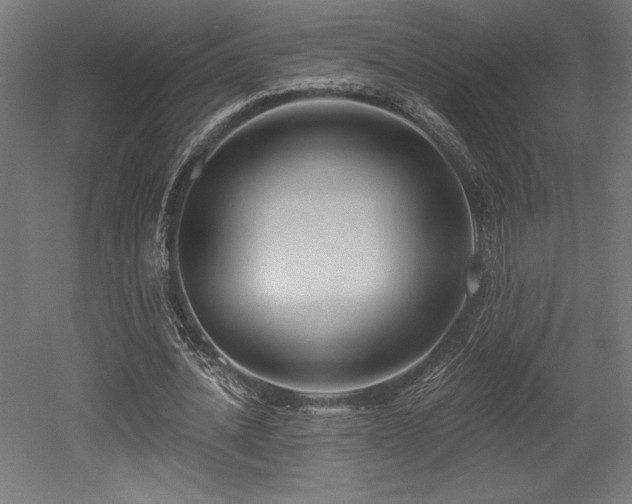 X0000053020628200507081327