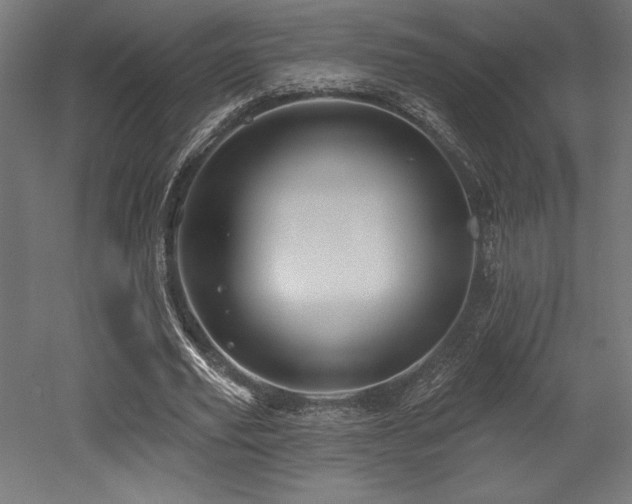X0000053020629200507081327