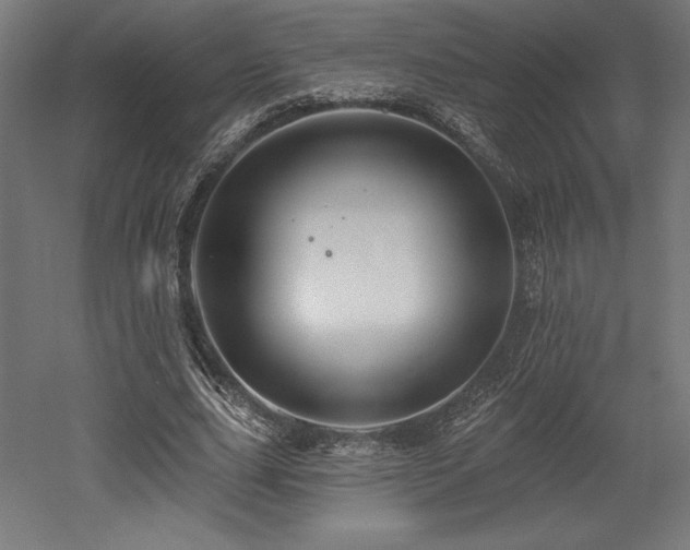 X0000053020631200507081327
