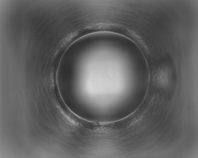 X0000053020633200507081327