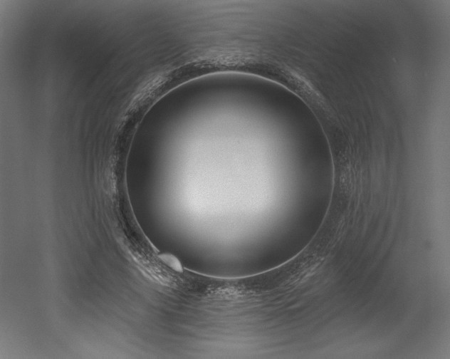 X0000053020635200507081327