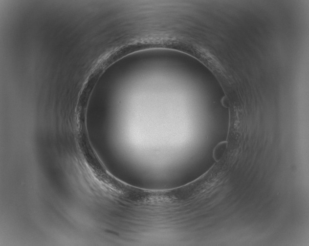 X0000053020636200507081327