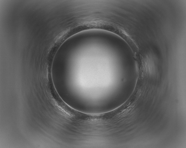 X0000053020637200507081327
