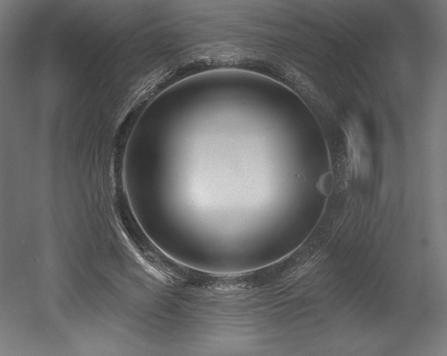X0000053020638200507081327