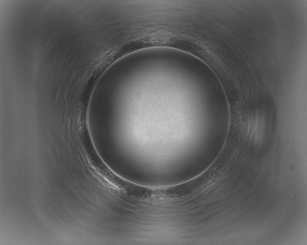 X0000053020641200507081327