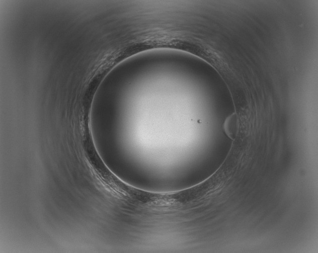 X0000053020642200507081327