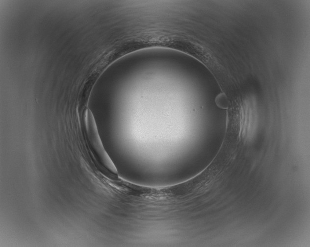 X0000053020643200507081327