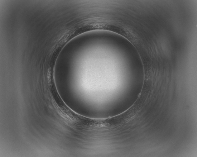 X0000053020646200507081327