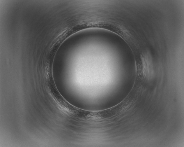 X0000053020648200507081327