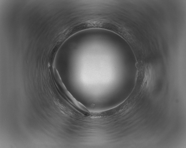 X0000053020649200507081327