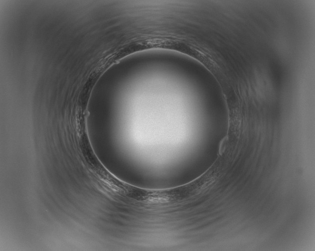 X0000053020653200507081327