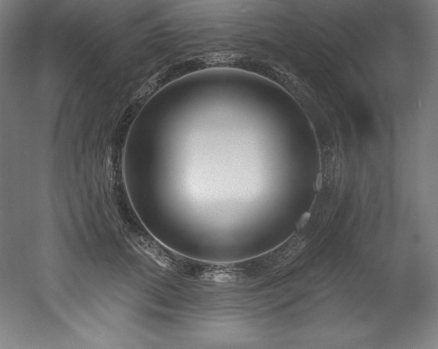 X0000053020655200507081327