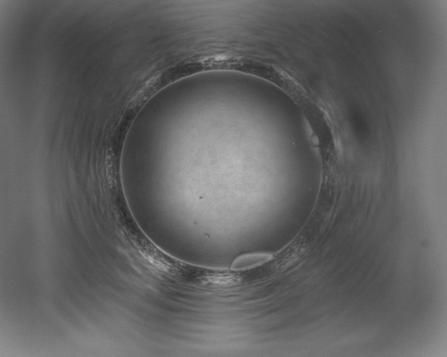 X0000053020659200507081327