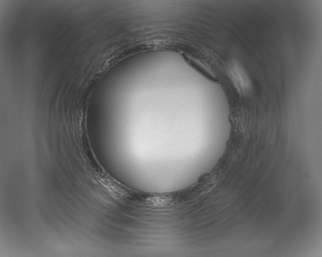 X0000053020660200507081327