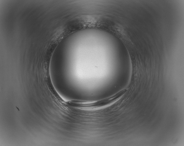 X0000053020661200507081327