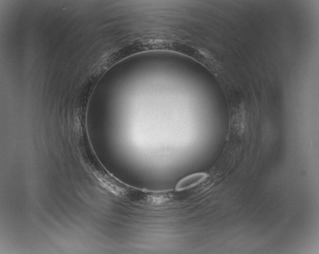 X0000053020662200507081327