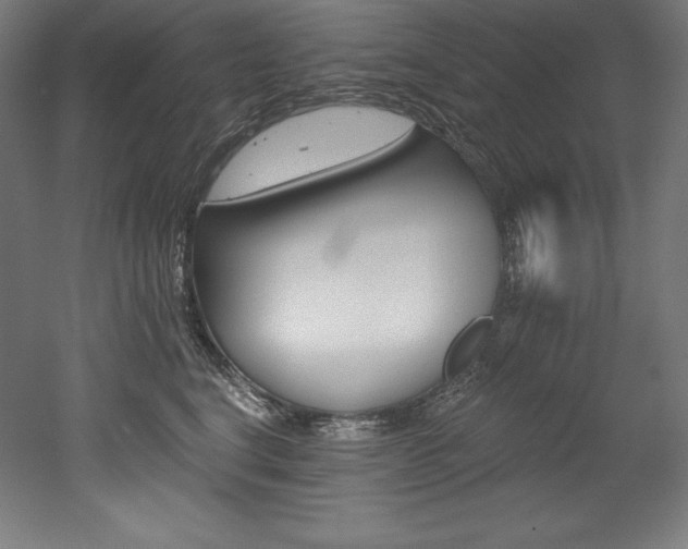 X0000053020664200507081327