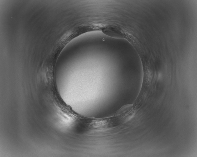 X0000053020665200507081327