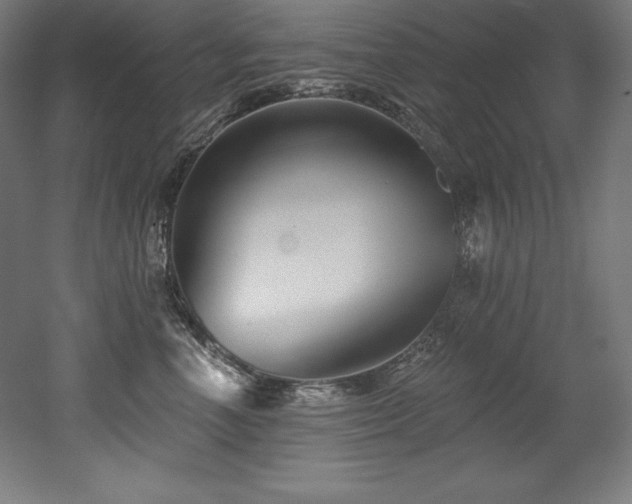 X0000053020666200507081327
