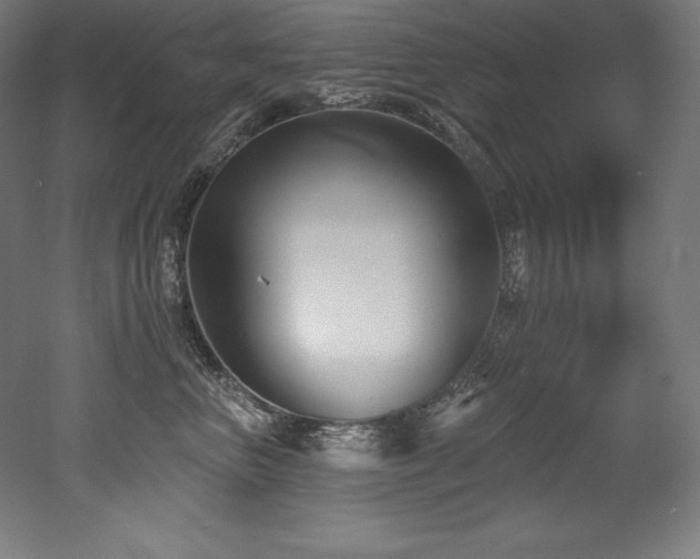 X0000053020667200507081327