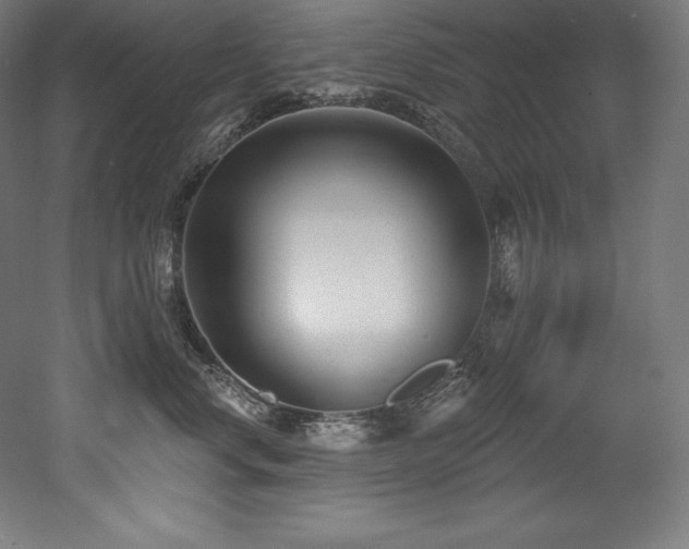 X0000053020668200507081327