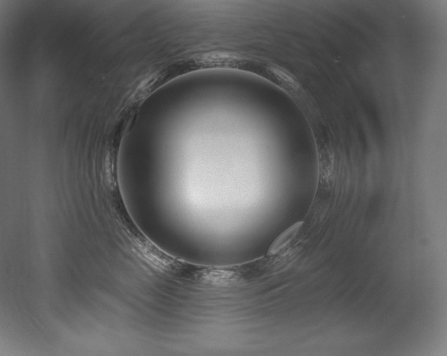 X0000053020669200507081327