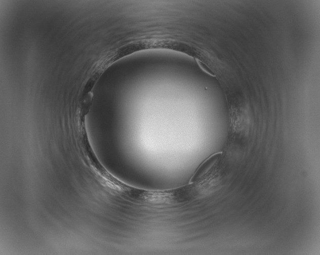 X0000053020670200507081327