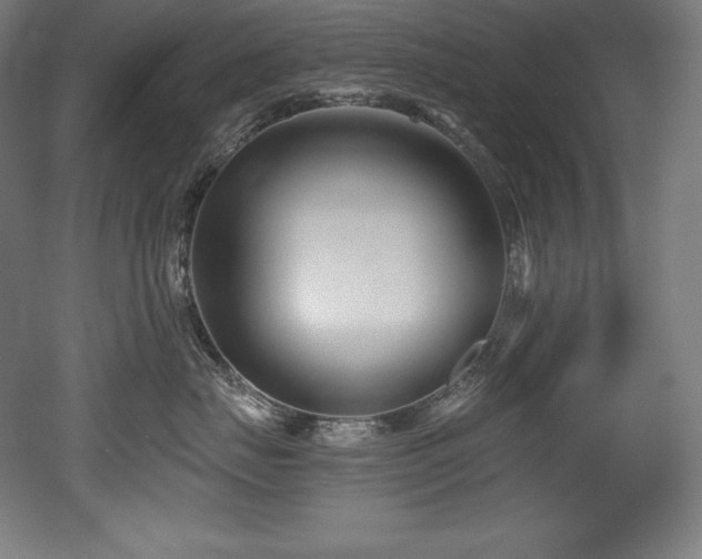 X0000053020671200507081327