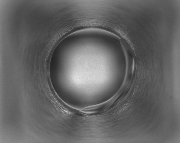 X0000053020673200507081327