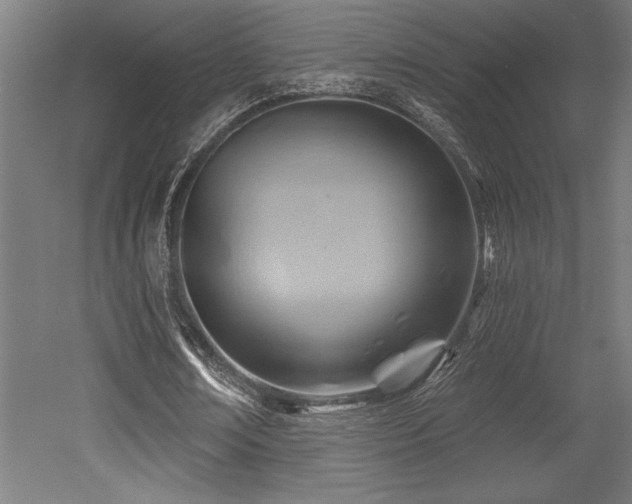 X0000053020674200507081327