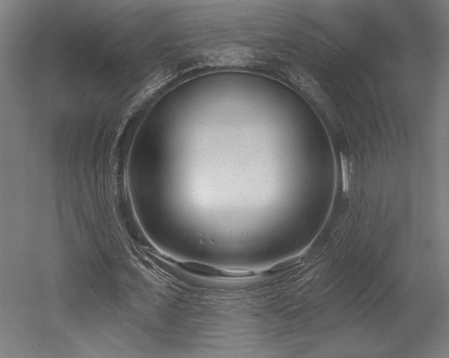 X0000053020675200507081327