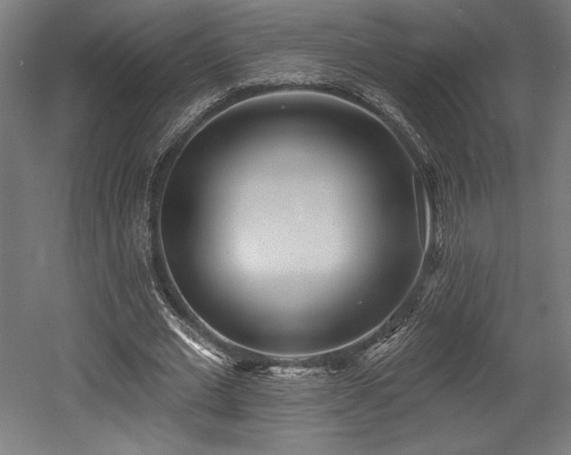 X0000053020677200507081326