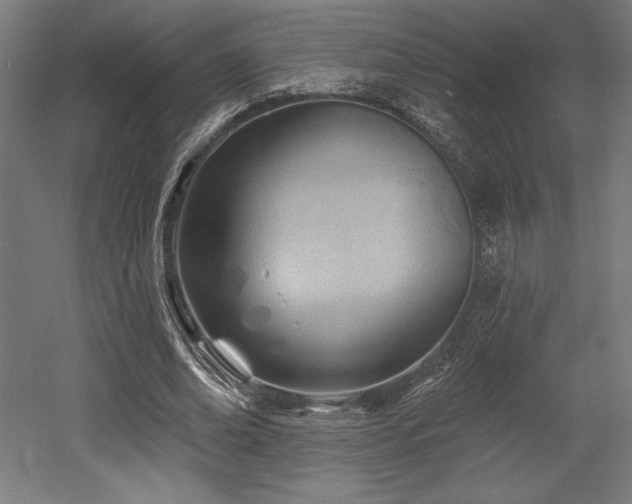 X0000053020678200507081326