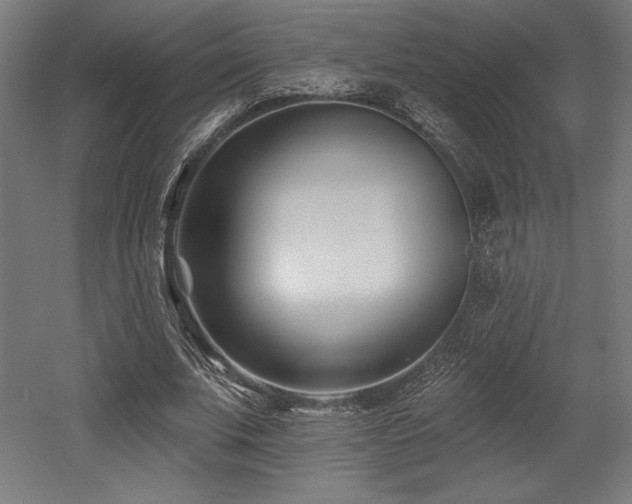 X0000053020679200507081326
