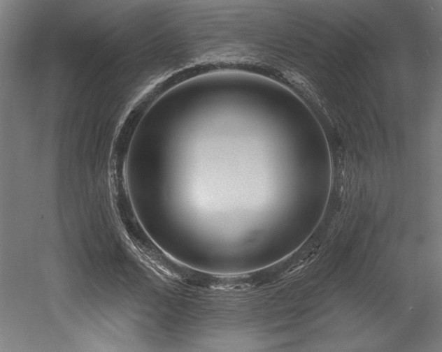 X0000053020680200507081326