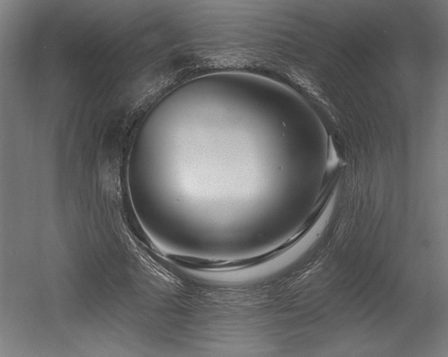 X0000053020681200507081326