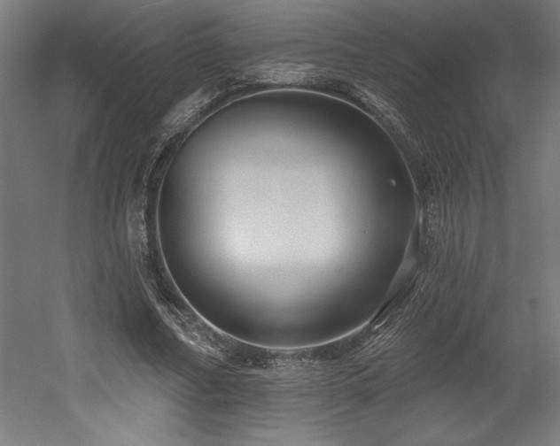 X0000053020682200507081326
