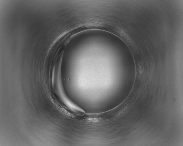 X0000053020684200507081326